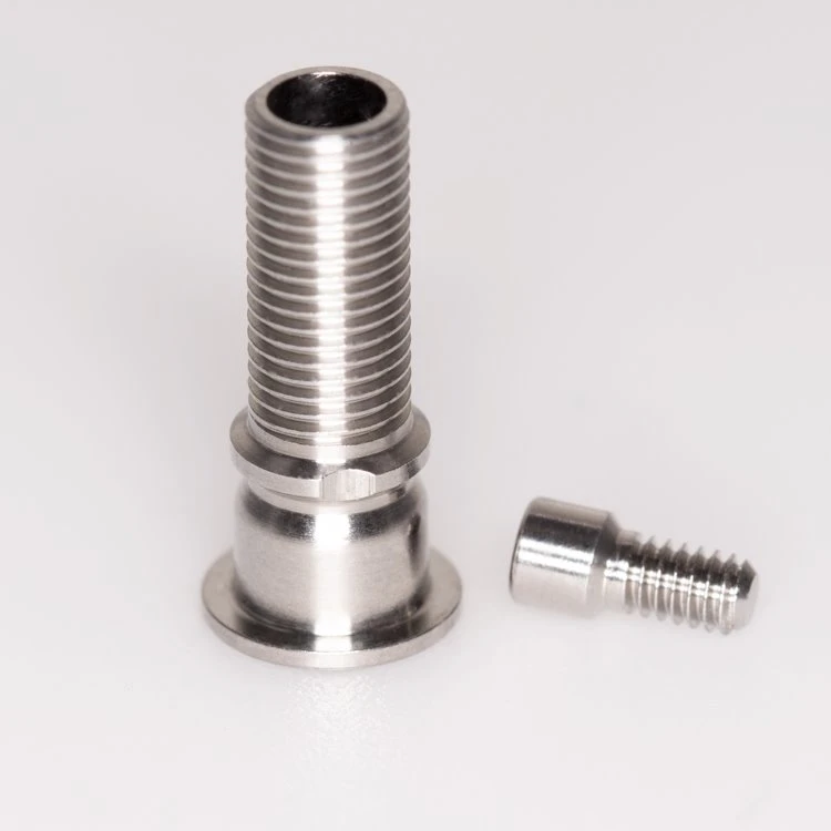 Abutment Interim