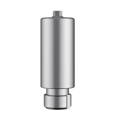 Biohorizon Premilled Abutment